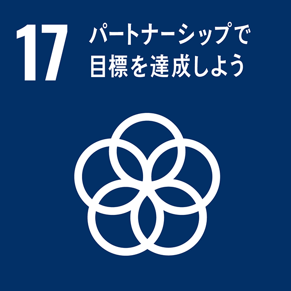 sdg_17